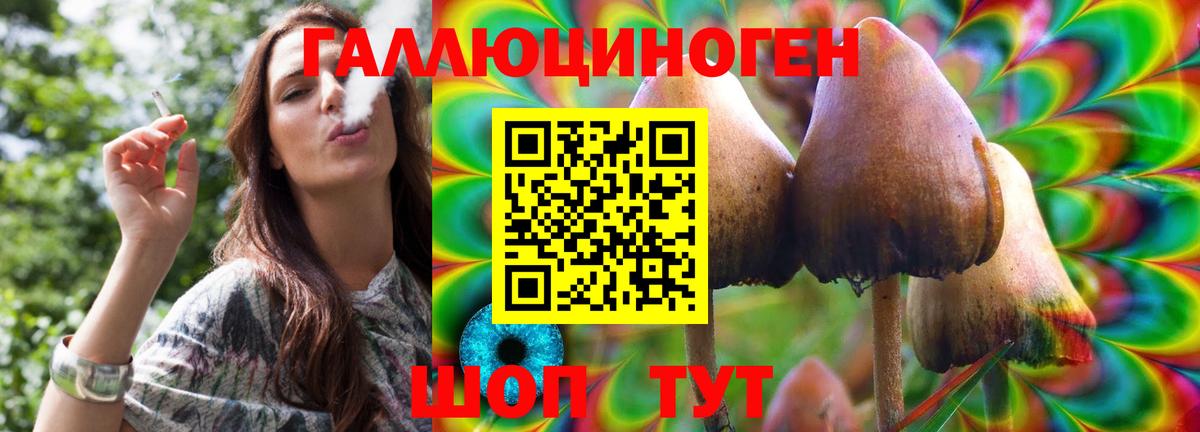 Галлюциногенные грибы мухоморы  Вход с VPN  Ставрополь 