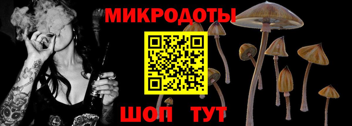 Галлюциногенные грибы MAGIC MUSHROOMS Ставрополь